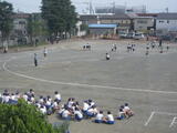ボール投げ